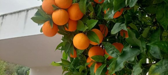 5 chambres Maison à Rodi Garganico, Italy No. 378067 8