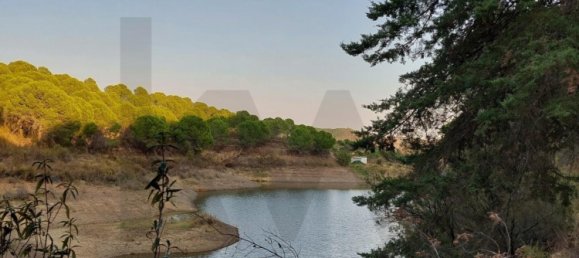 Земельный участок с 5 спальнями в Силвиш, Португалия № 110750 20