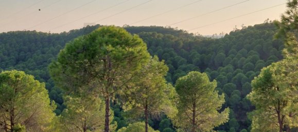 Земельный участок с 5 спальнями в Силвиш, Португалия № 110750 18