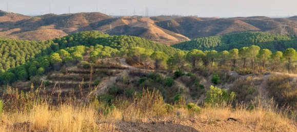 Земельный участок с 5 спальнями в Силвиш, Португалия № 110750 19