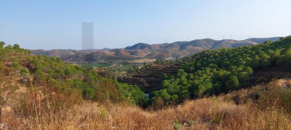 Земельный участок с 5 спальнями в Силвиш, Португалия № 110750 39