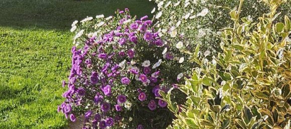 4غرفة منزل في Villach, Austria رقم 133326 17