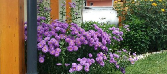 4غرفة منزل في Villach, Austria رقم 133326 32