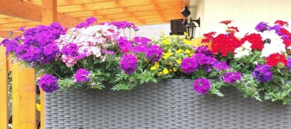 4غرفة منزل في Villach, Austria رقم 133326 31