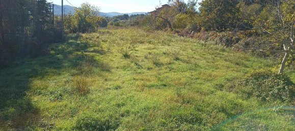 1680m² Land in Mangone, Italy No. 161657 5