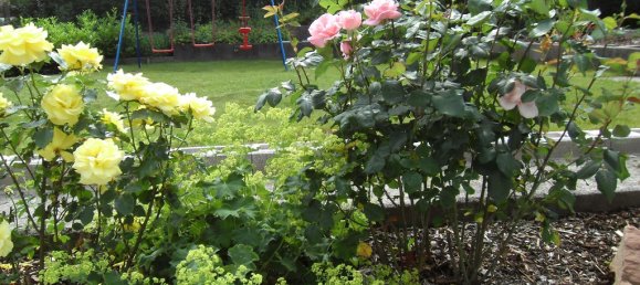 Moradia em banda de 9 divisões em Sudwestpfalz, Germany N.º 286022 3