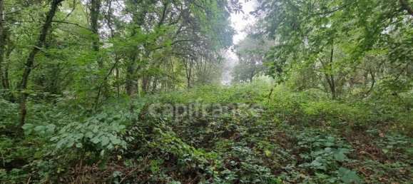 Terreno en Lantic, France No. 54128 10