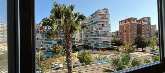 3 chambres Appartement à Alicante, Spain No. 153211 15