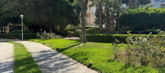 3 chambres Appartement à Alicante, Spain No. 153211 27