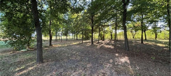 10غرفة منزل في Soliera, Italy رقم 298838 14