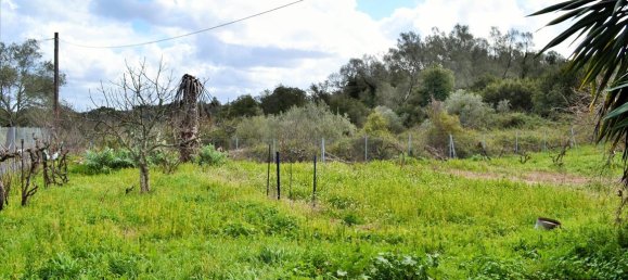 Propiedad comercial en Corfu, Greece 220 m² No. 4222 28