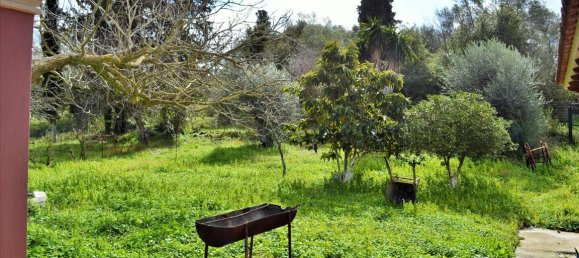  عقار تجاري في Corfu, Greece 220متر مربع رقم 4222 15
