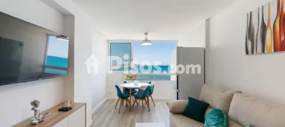 1 bedroom Apartment in Torrevieja, Spain No. 174774 15
