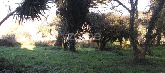 7 bedrooms House in Oliveira de Azemeis, Portugal No. 84939 5