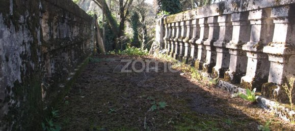 7 bedrooms House in Oliveira de Azemeis, Portugal No. 84939 8