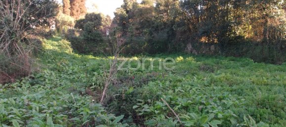 7 bedrooms House in Oliveira de Azemeis, Portugal No. 84939 41