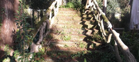 7 bedrooms House in Oliveira de Azemeis, Portugal No. 84939 11