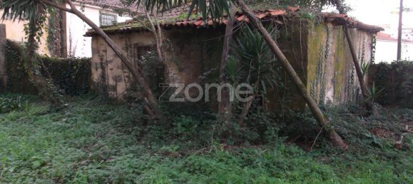 7 bedrooms House in Oliveira de Azemeis, Portugal No. 84939 47