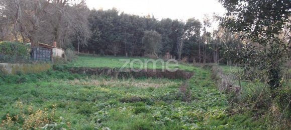 7 bedrooms House in Oliveira de Azemeis, Portugal No. 84939 40