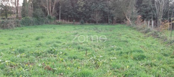 7 bedrooms House in Oliveira de Azemeis, Portugal No. 84939 42