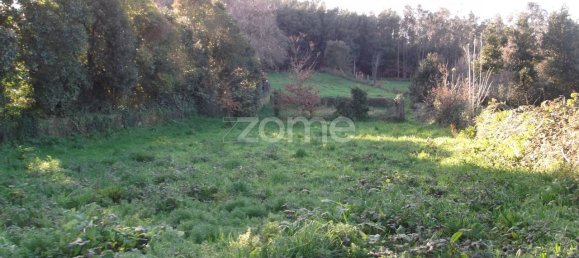 7 bedrooms House in Oliveira de Azemeis, Portugal No. 84939 38