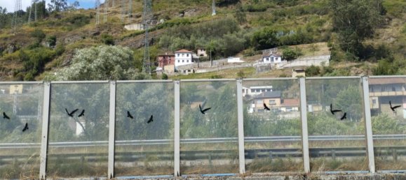 Apartamento de 2 dormitorios en Mieres, Spain No. 177470 16