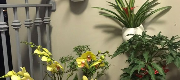 3 bedrooms Apartment in Binh Thanh, Vietnam No. 18009 10