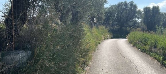 Коммерческая недвижимость с 2 спальнями в Закинтос, Греция № 8829 9