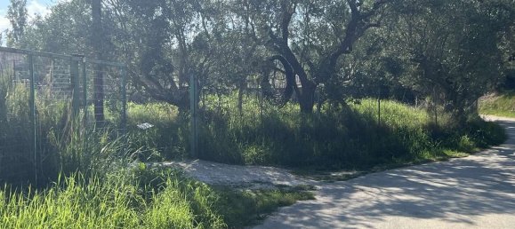 Коммерческая недвижимость с 2 спальнями в Закинтос, Греция № 8829 6