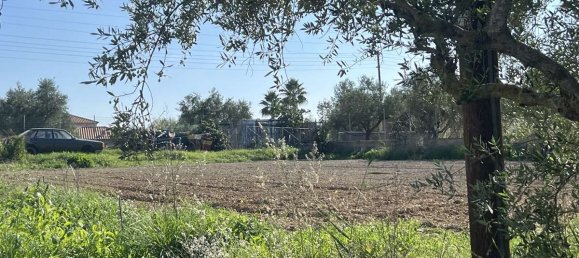 Коммерческая недвижимость с 2 спальнями в Закинтос, Греция № 8829 20