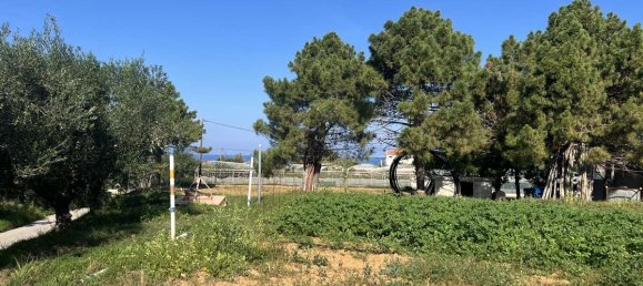 Коммерческая недвижимость с 2 спальнями в Закинтос, Греция № 8829 15