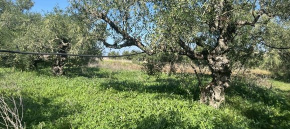 Коммерческая недвижимость с 2 спальнями в Закинтос, Греция № 8829 22