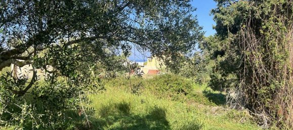 Коммерческая недвижимость с 2 спальнями в Закинтос, Греция № 8829 23