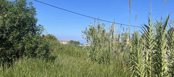 Коммерческая недвижимость с 2 спальнями в Закинтос, Греция № 8829 14