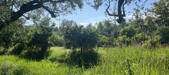 Коммерческая недвижимость с 2 спальнями в Закинтос, Греция № 8829 21