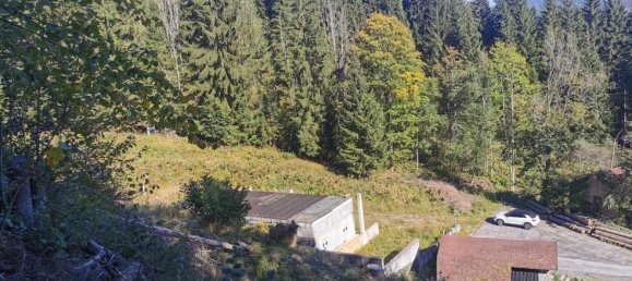  Land in Spital am Semmering, Austria No. 19095 2