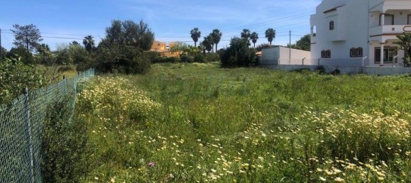 3444m² Land in Almancil, Portugal No. 82005 5
