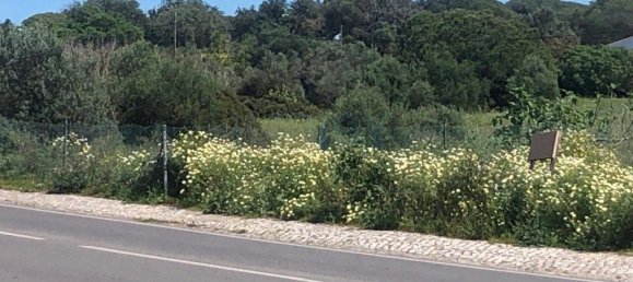 3444m² Land in Almancil, Portugal No. 82005 13