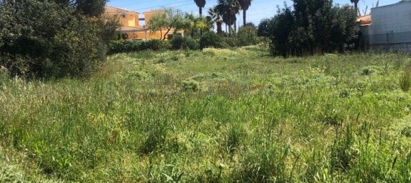 3444m² Land in Almancil, Portugal No. 82005 19