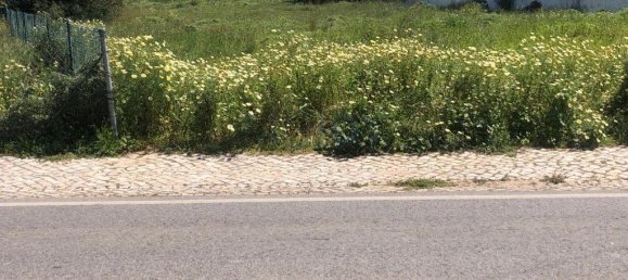 3444m² Land in Almancil, Portugal No. 82005 17