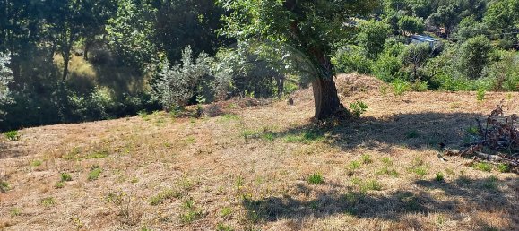 2 bedrooms House in Figueiro dos Vinhos, Portugal No. 21742 2