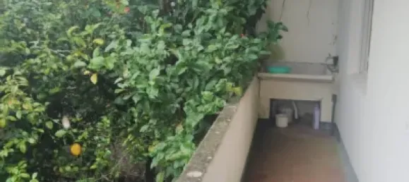 3 Schlafzimmer Haus in Fene, Spain, Nr. 153941 19