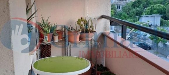4 rooms Apartment in Cannara, Italy No. 76623 28
