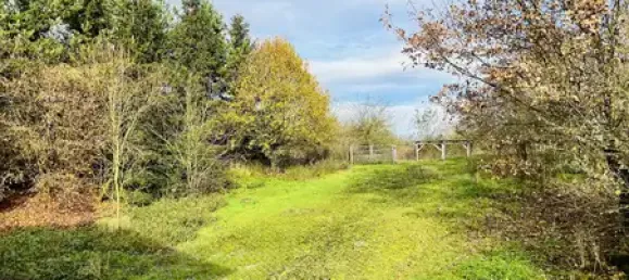 6 bedrooms Farm in Hasberge, Germany No. 149800 6