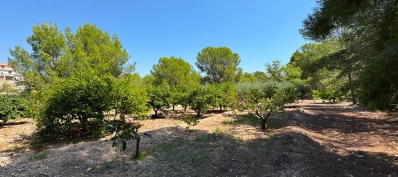 4 غرف نوم منزل في Murcia, Spain رقم 169242 48