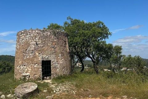  عقار تجاري في Sao Bras de Alportel, Portugal 26متر مربع رقم 242903