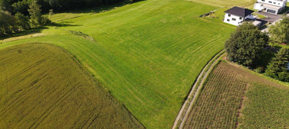 Terreno em Hofkirchen im Muhlkreis, Austria N.º 100031 6