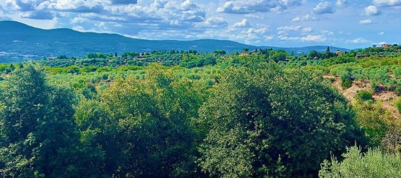 5-Zimmer Haus in Città della Pieve, Italy, Nr. 53677 30