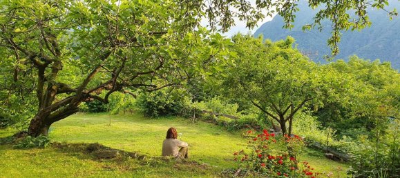 2 chambres Maison à Schwarzwald-Baar-Kreis, Germany No. 351582 13