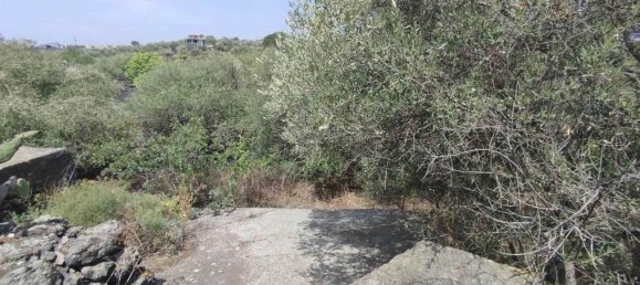 2800m² Land in Misterbianco, Italy No. 51233 43